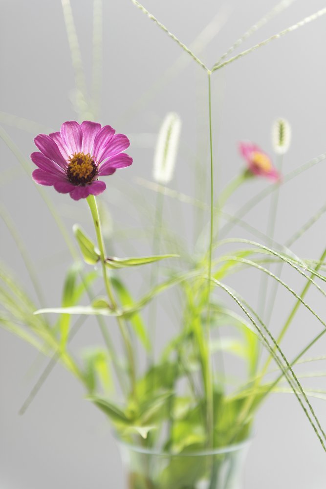 Photograph by Murat Sahin