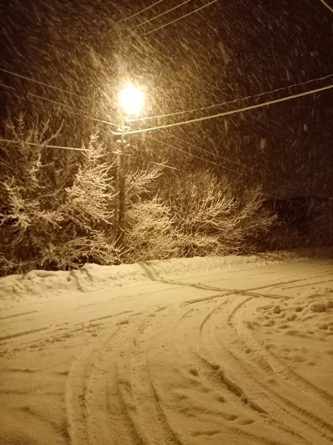 Photo #4985092