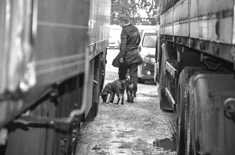 Photograph by Ольга Мукина