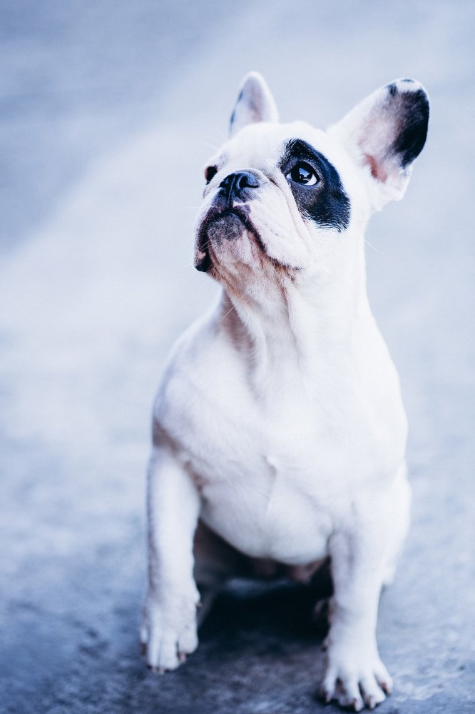 Photograph by Анна Молько