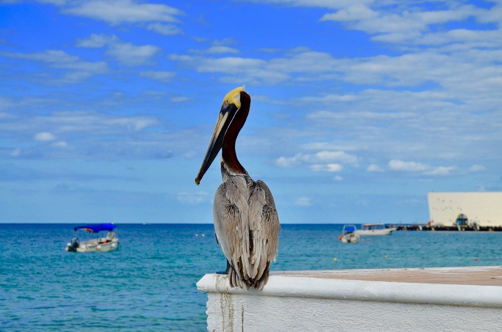 Photograph by Ольга Мукина