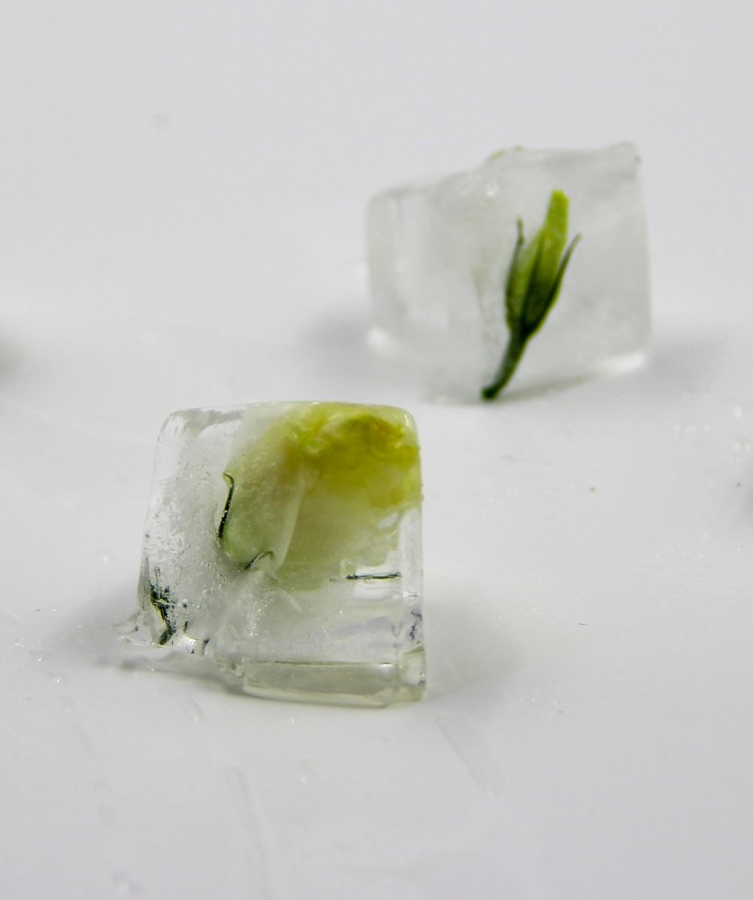 Photograph by Татьяна Шелудяк