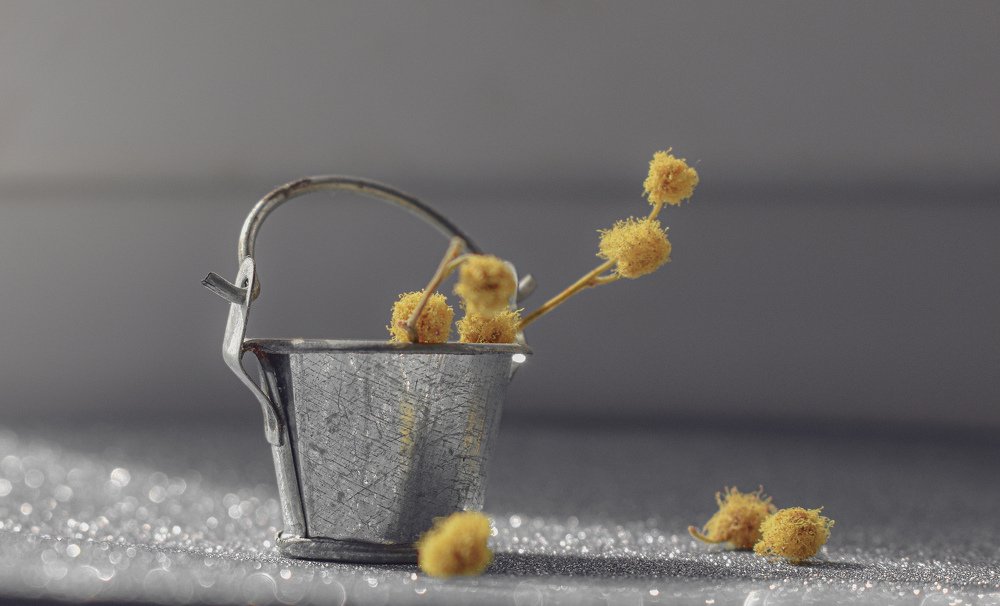 Photograph by СВЕТЛАНА