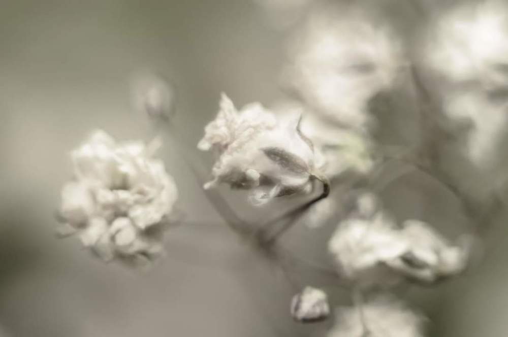 Photograph by Agnieszka