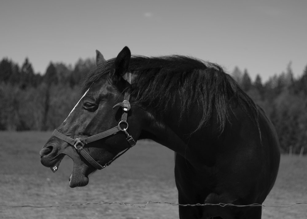 Photograph by Elina Mellov