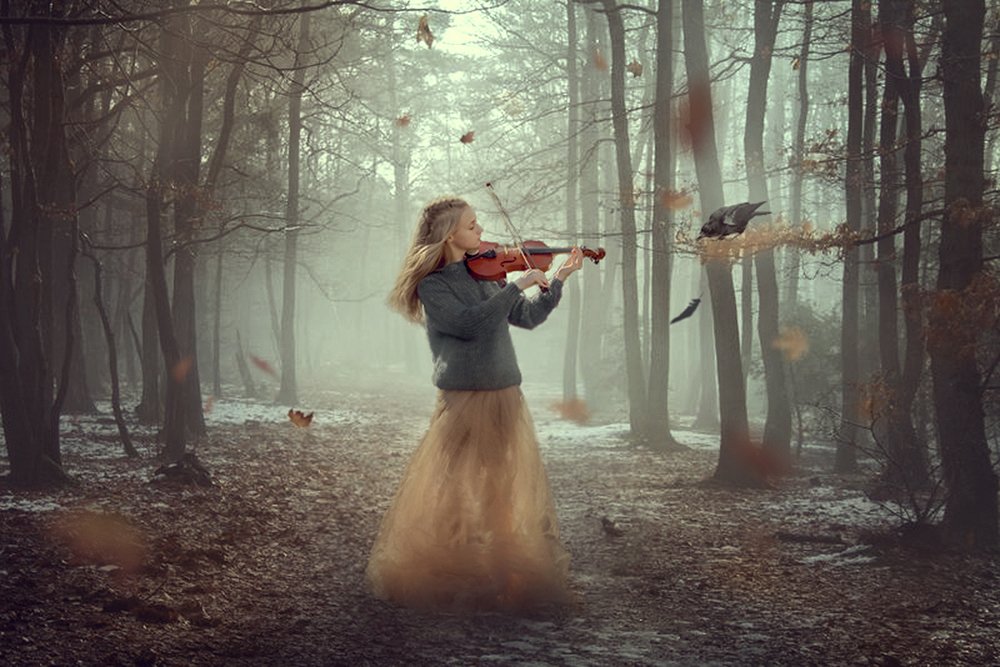 Фотография автора Светлана Лукьянова