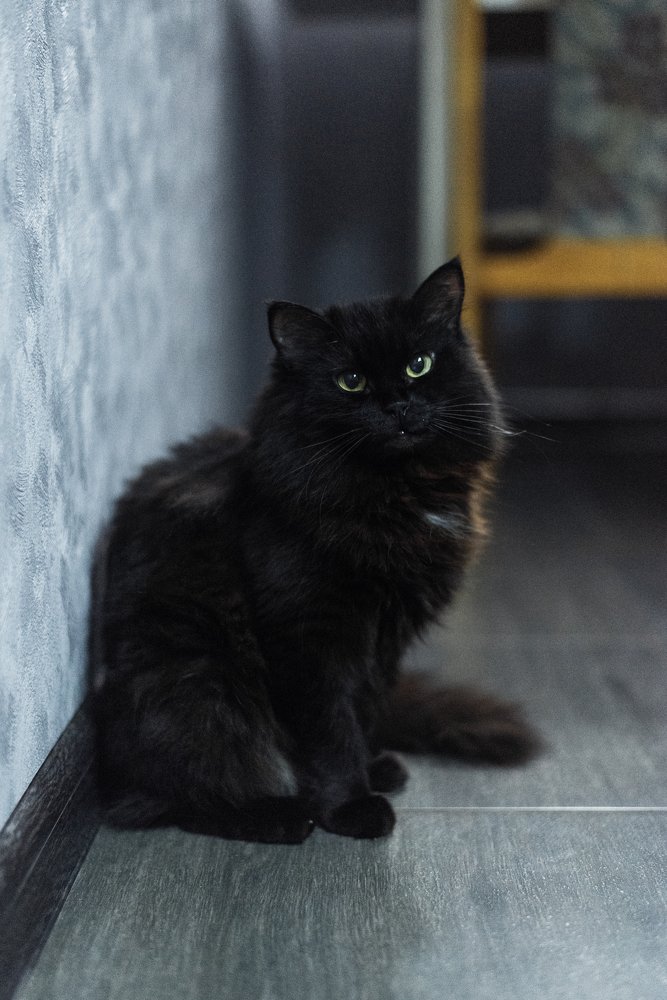 Photograph by Любовь Белявцева