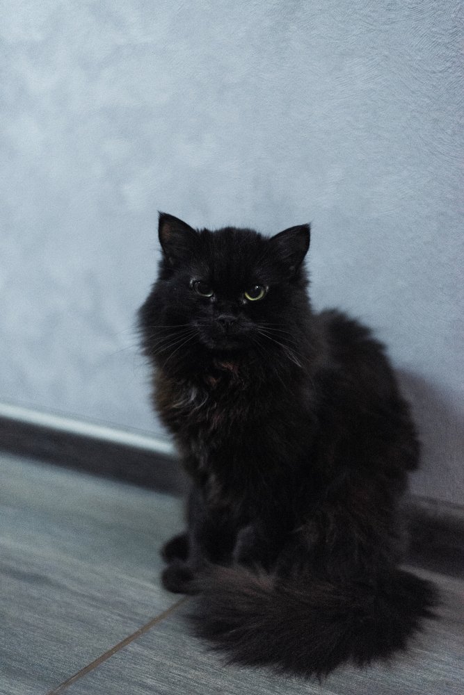 Photograph by Любовь Белявцева