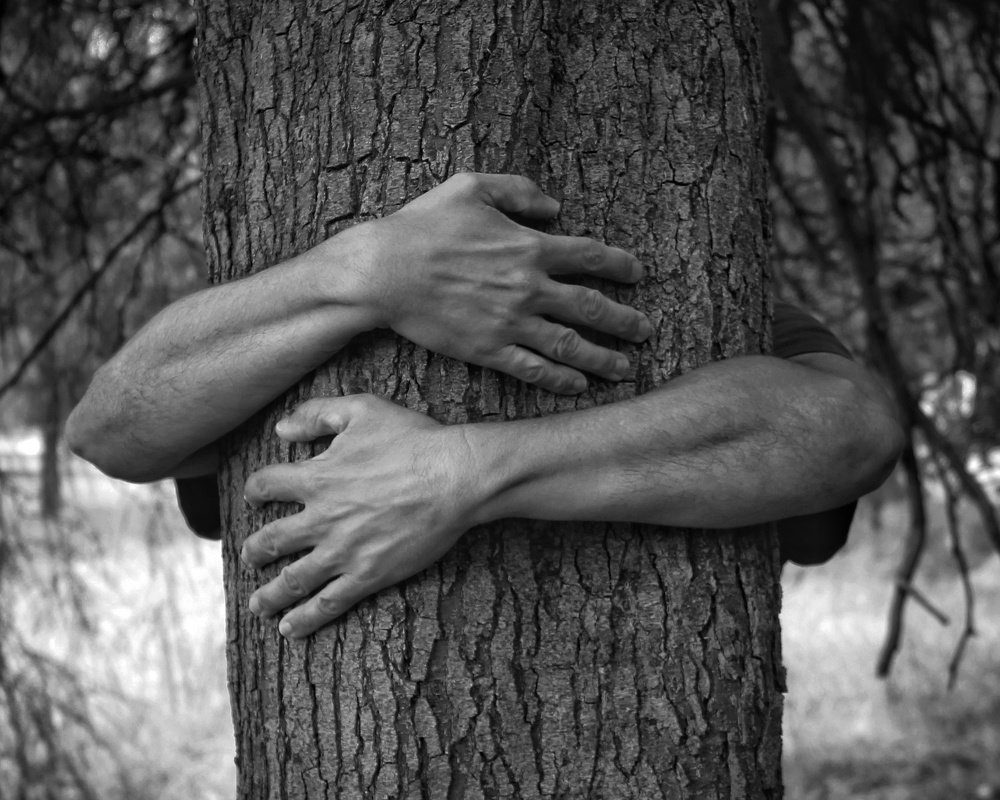 Protect Nature