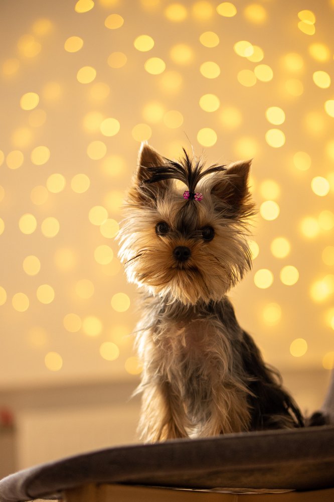 Photograph by Анна Молько