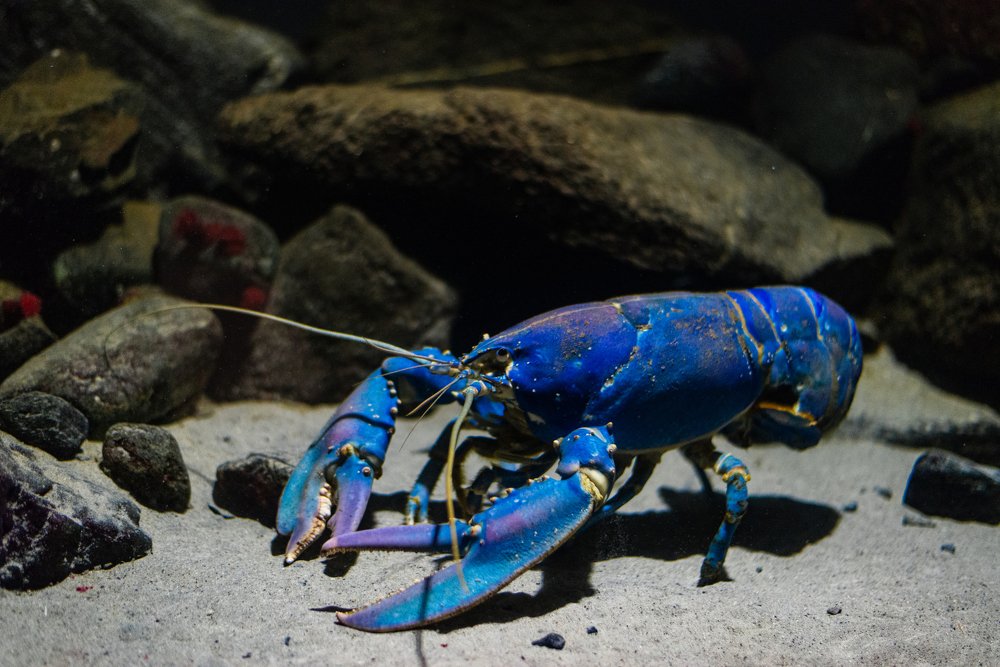 Photograph by Любовь Белявцева