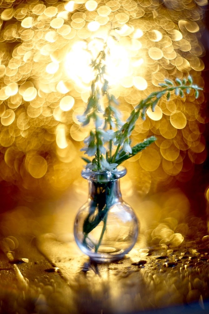 Photograph by Анна Молько