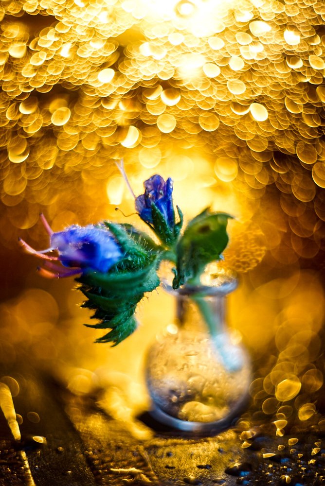 Photograph by Анна Молько