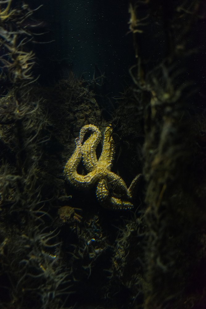 Photograph by Любовь Белявцева