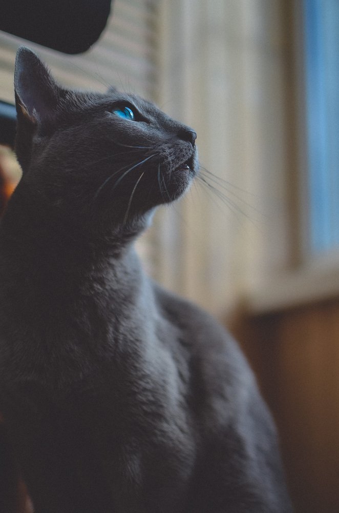 Photograph by Ольга Мукина