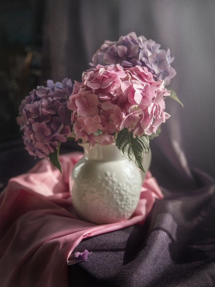 Photograph by Евдокия Спуре