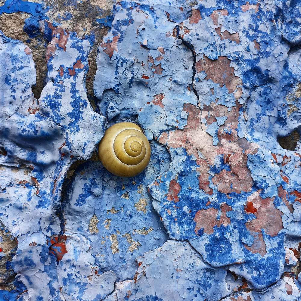 Photograph by Татьяна Рутковская