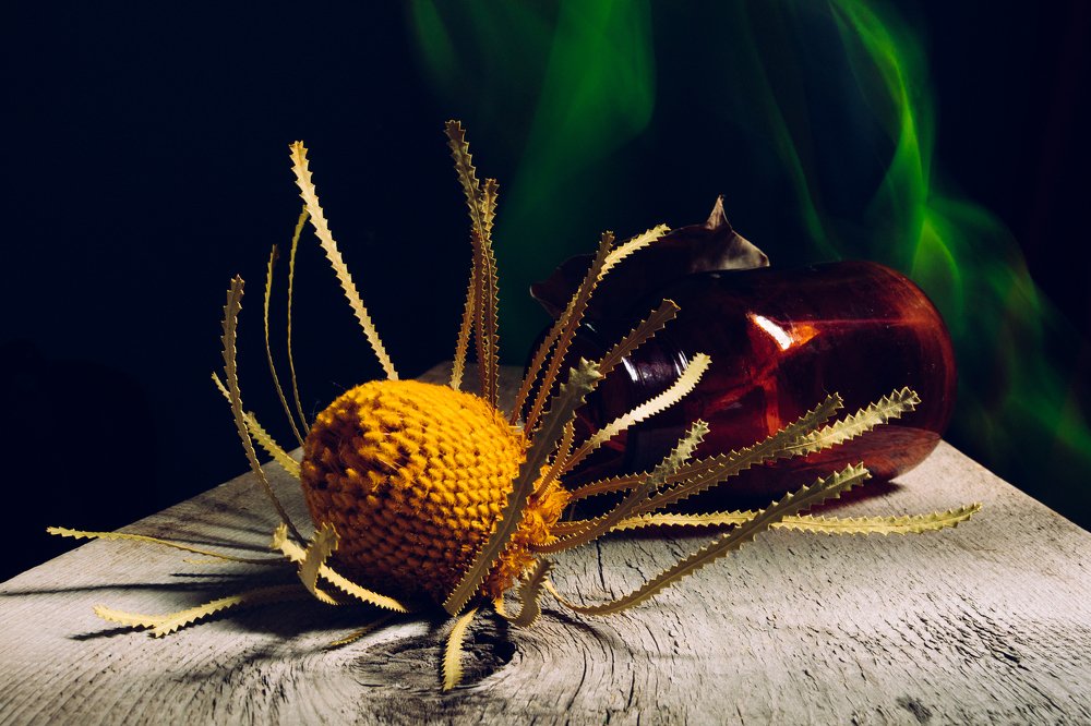 Photograph by Alexandr Tataev