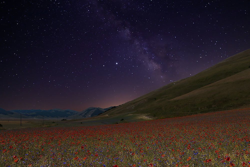 Photograph by Grazia Bertano