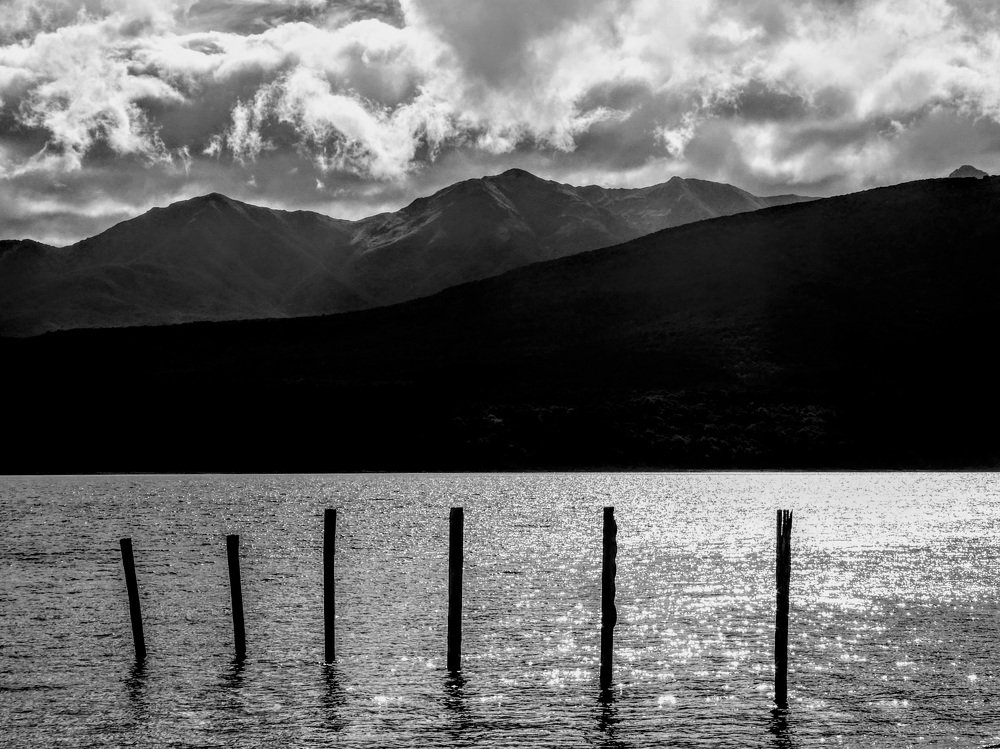 Photograph by Gunasekera Janath