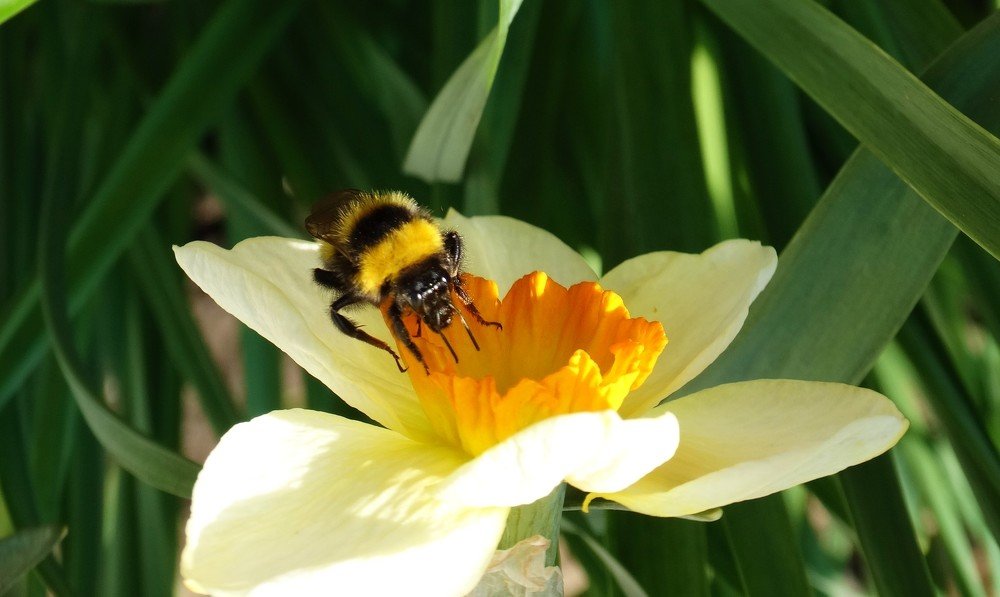 Photograph by Елена Стрельцова