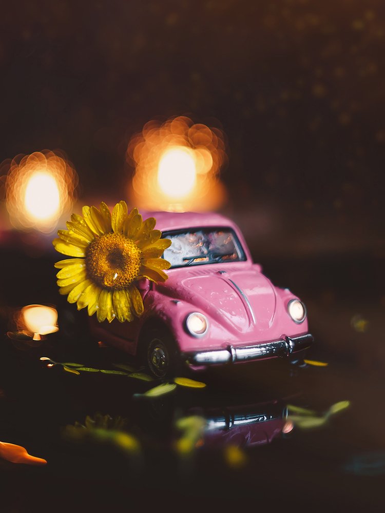 Photograph by Kristina Shlimovich