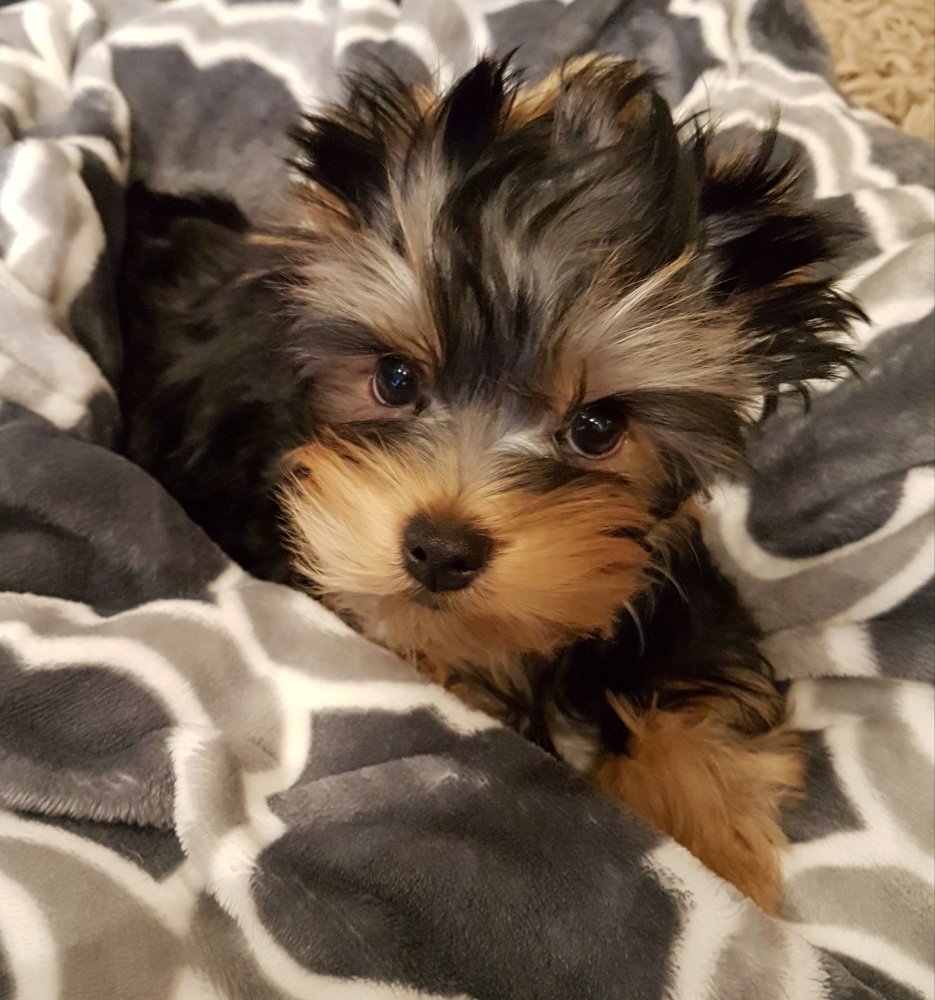 Photograph by Jelena Dzene