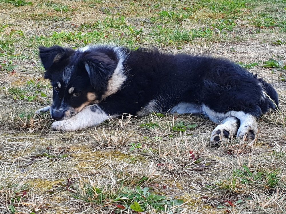 Я хороший, правда