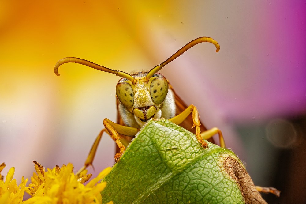 Photograph by Иван Радьков