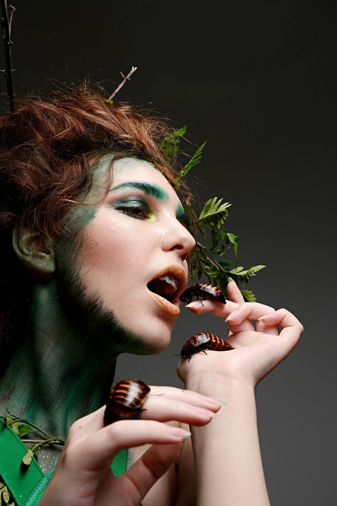 лесной обед