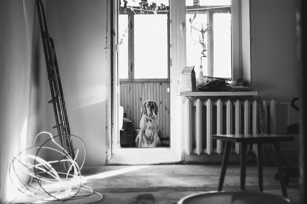 Photograph by Kristina Shlimovich