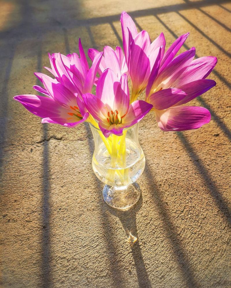 Фотография автора Павел Барский