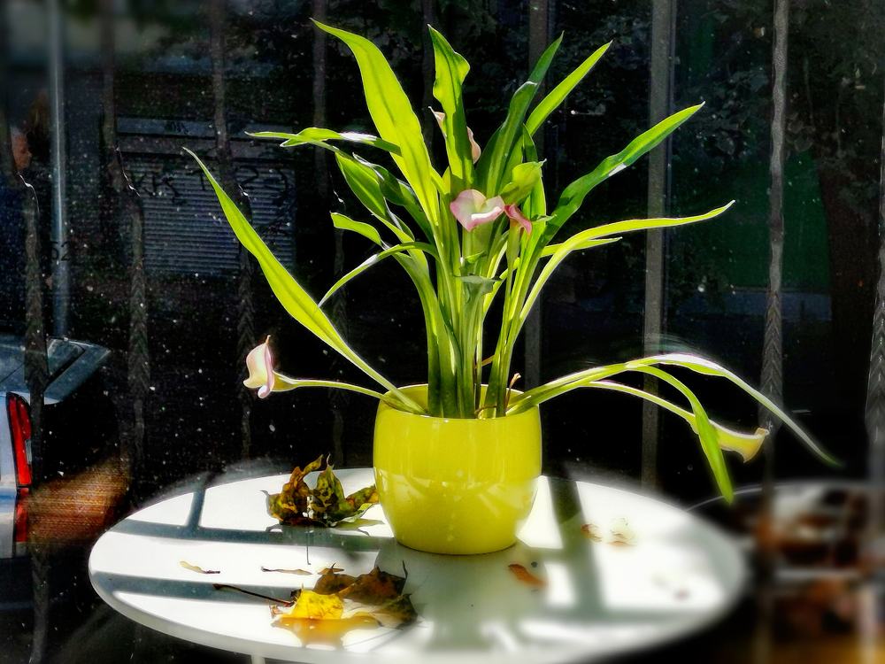 Фотография автора Павел Барский