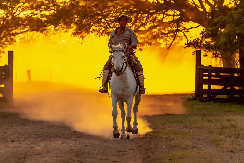 Photograph by Pablo Lambrechts