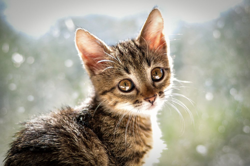 Photograph by Анастасия Донская