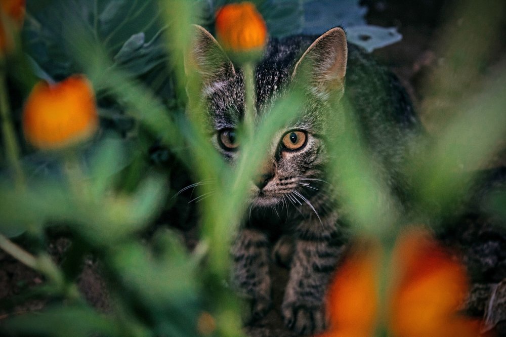 Photograph by Надя Фирсова