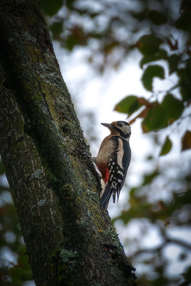 Photograph by Александр Орнатский
