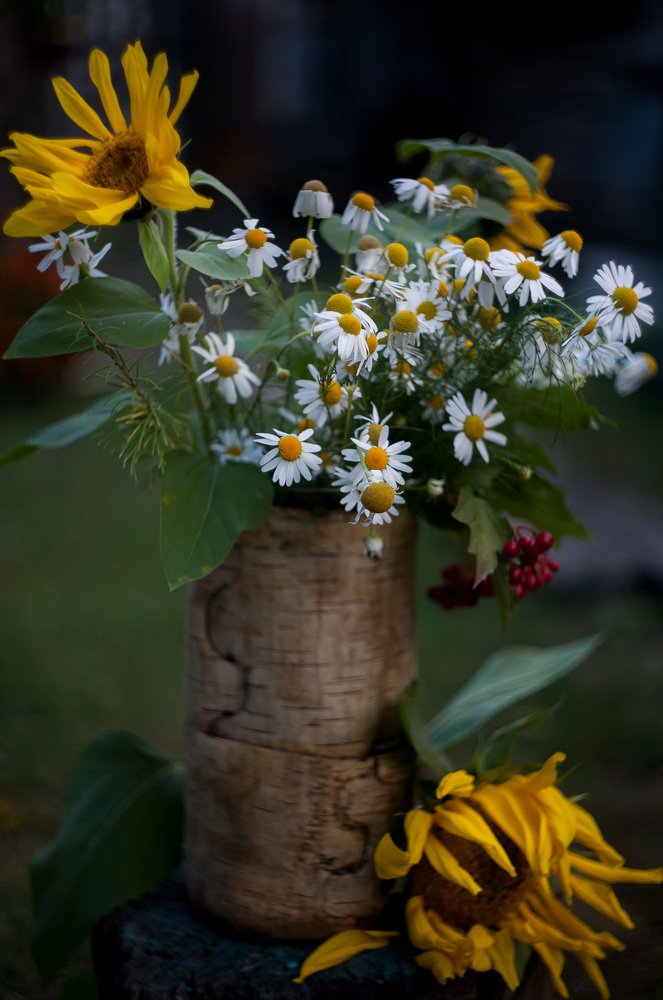 Photograph by Наталья Соболева