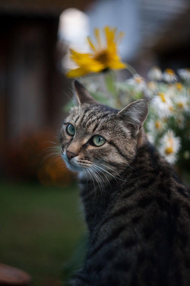 Photograph by Наталья Соболева