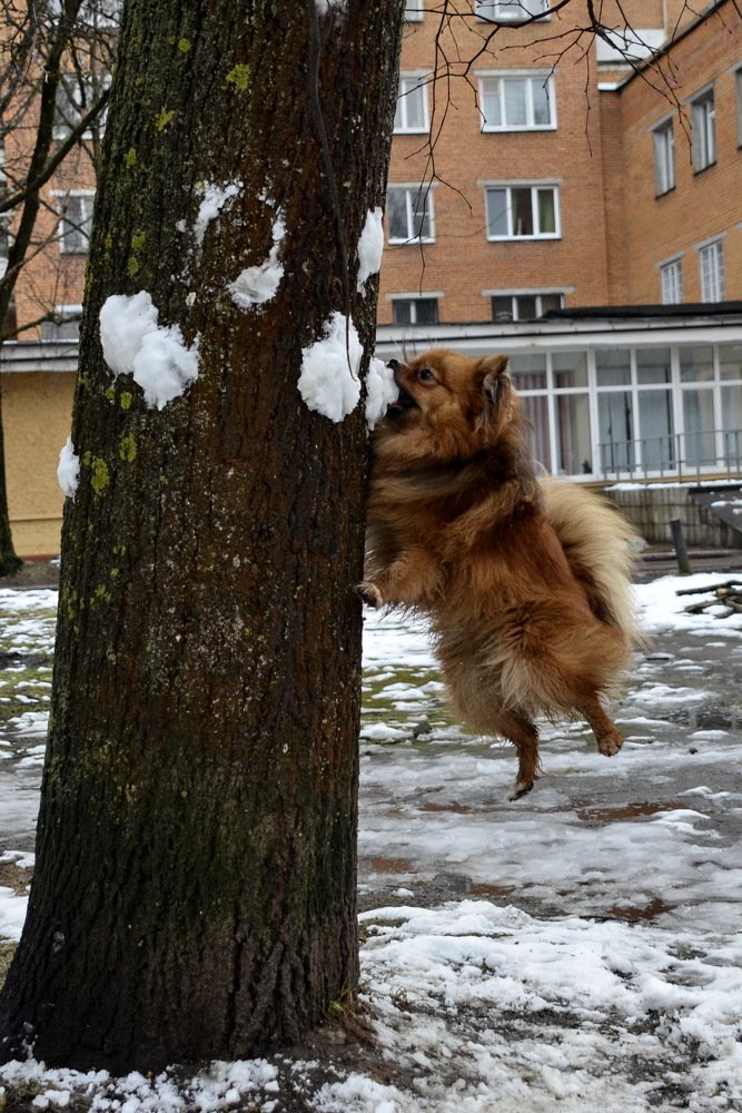 Photograph by Николай Соколовский