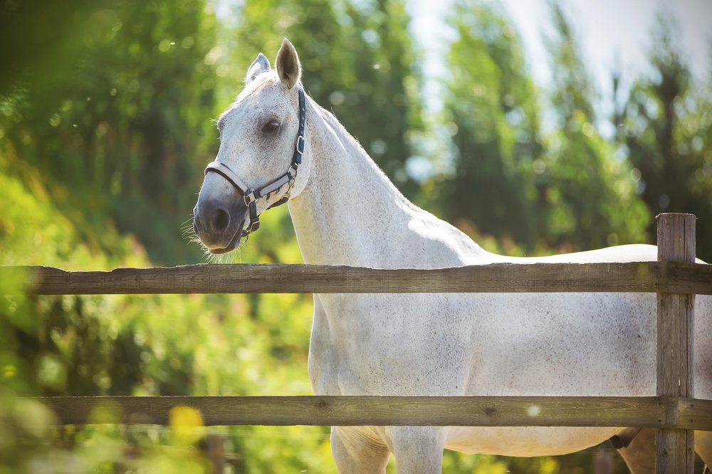 Photograph by Валерия Ватель