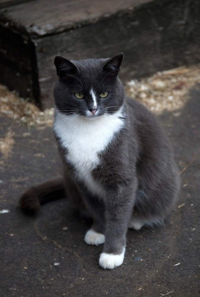 Photograph by Yroslava Veretina