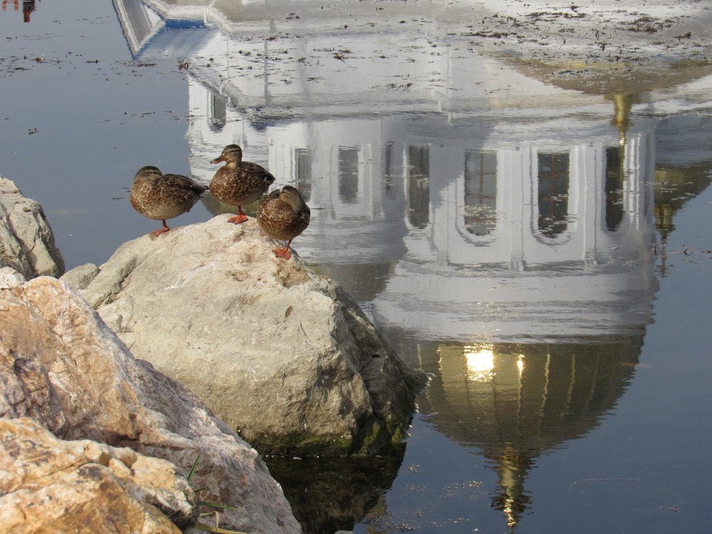 Photograph by Марина Савченко