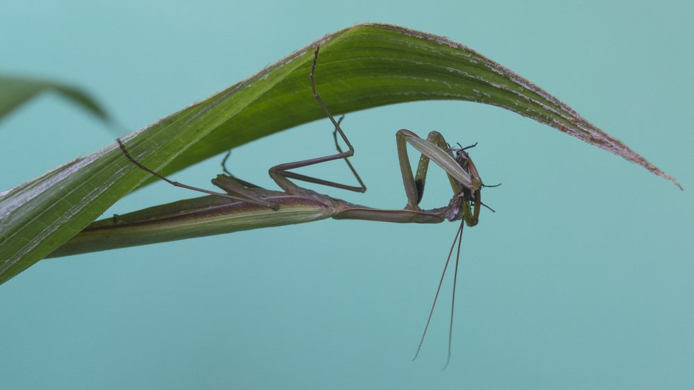 Photograph by Алексей Крукович