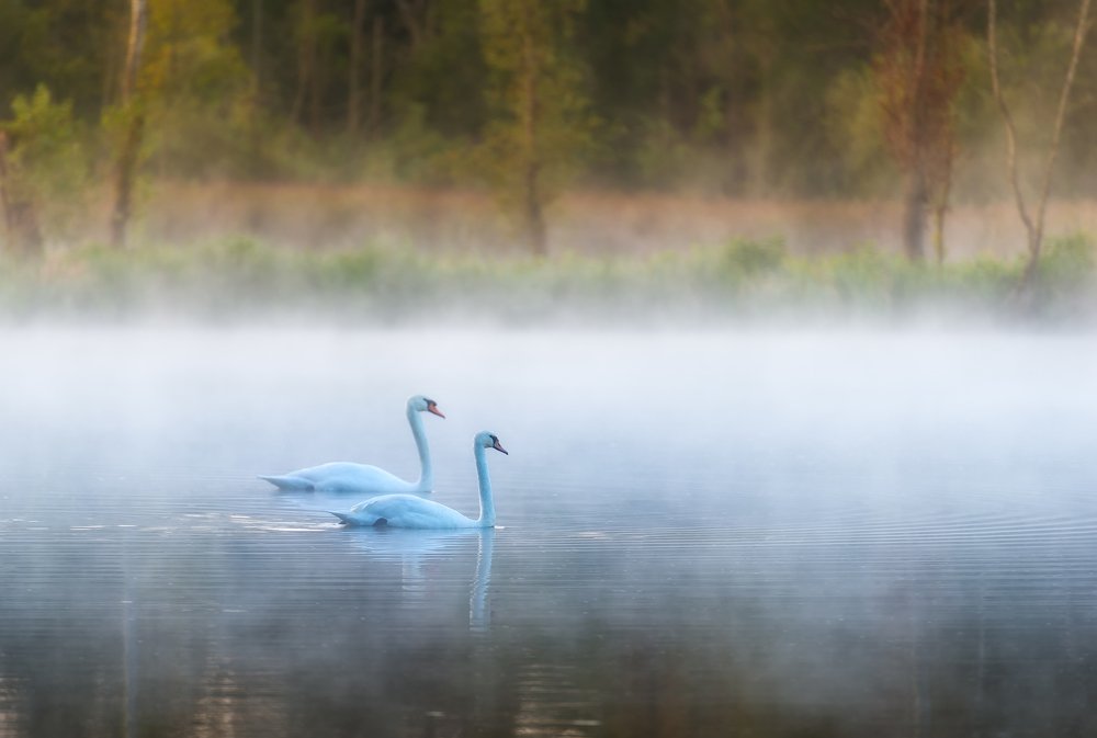 Photograph by Александр Орнатский