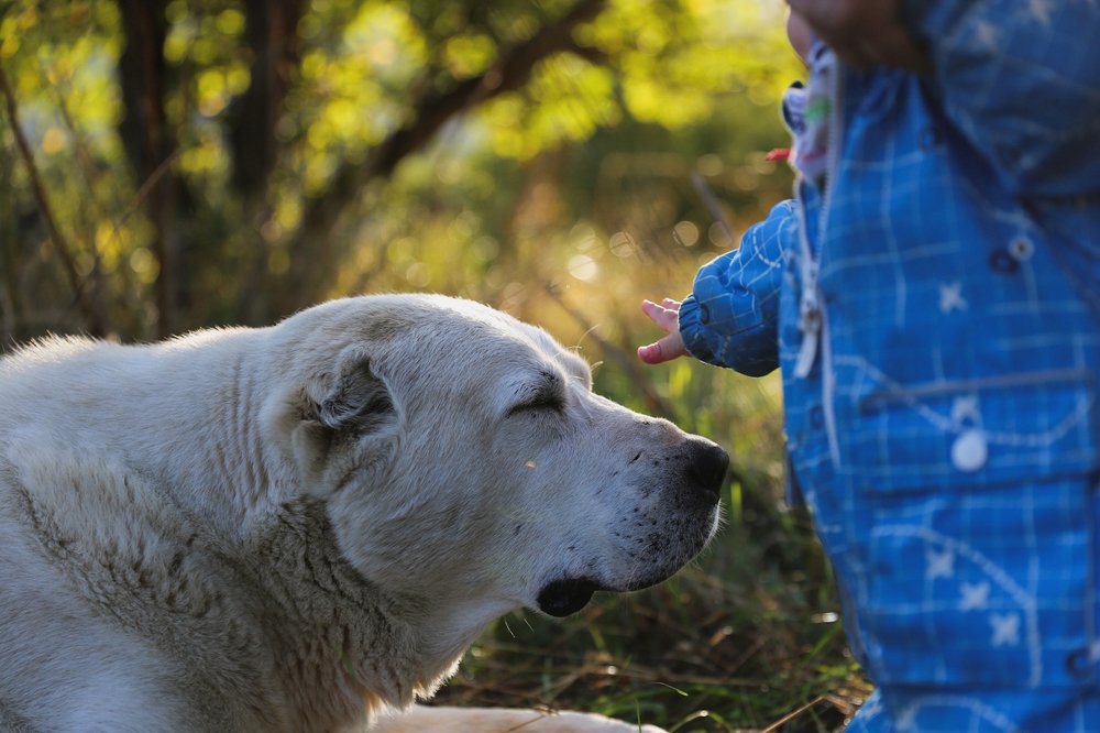 Photograph by Татьяна Зубанова