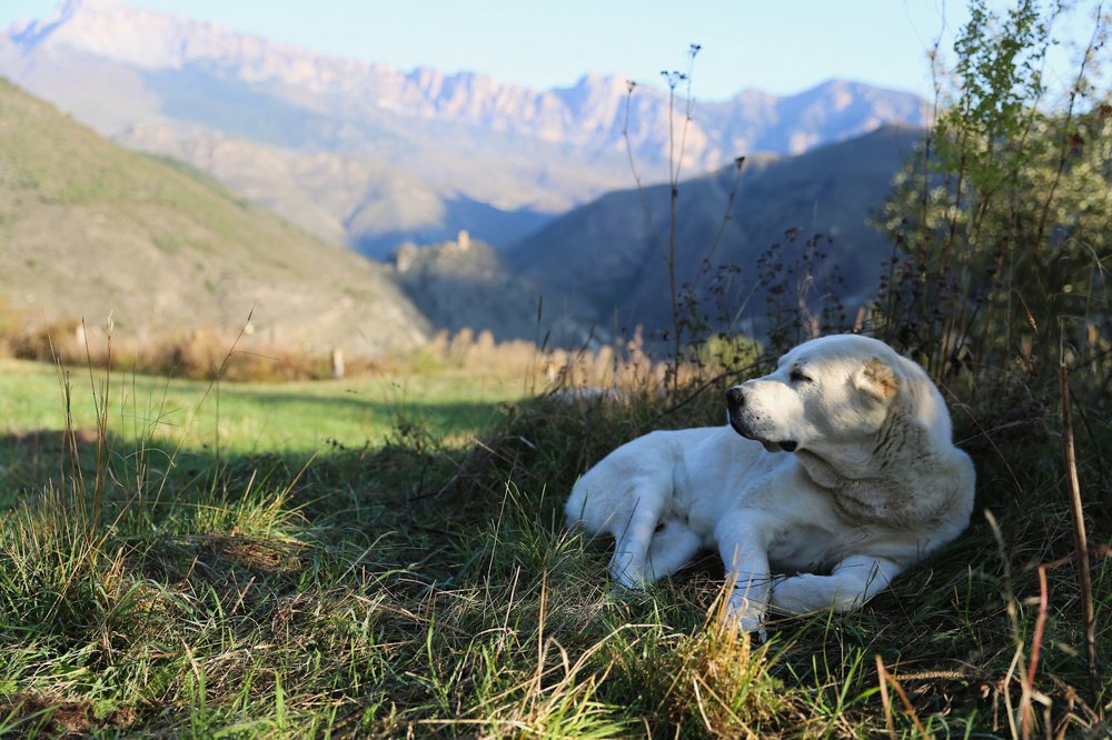 Photograph by Татьяна Зубанова