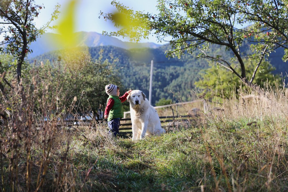 Photograph by Татьяна Зубанова