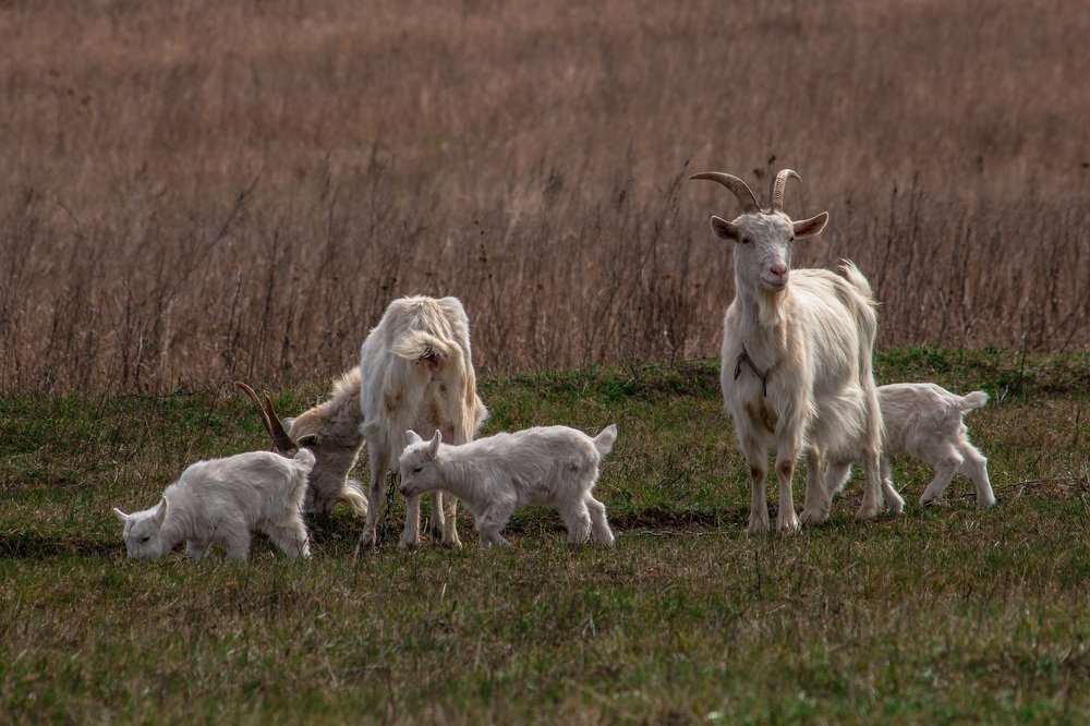 Photograph by Алена