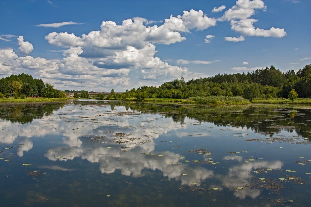 Photograph by Александр Архипов